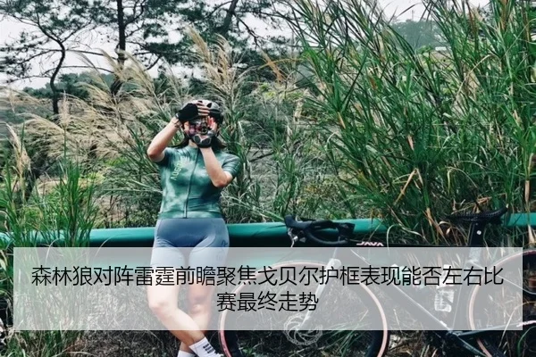 森林狼对阵雷霆前瞻聚焦戈贝尔护框表现能否左右比赛最终走势